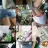 osobpamore