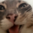 diddyblid