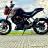 Bongbong31