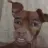dehu