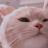 WhiteCat90