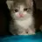 jayawww