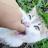 lithe