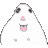 SSnpZZ