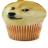 Goldenboy423