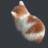 Marroach
