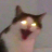mangoshake1