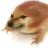 getery