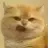 Sukemitch