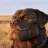Alf69