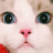 chyf