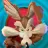 Coyot