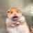 iwtfpn