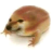 nimblenibbler