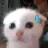 Ryuz0
