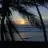 Noni_123