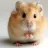 XhamsterX