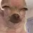 kaoksdmm