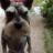 Boggy