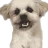 chokoness