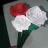 bogot