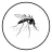 insecto