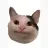 CLAIRV0YANT