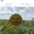morlems_03