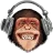 monkeykoy