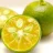 Calamansi_07